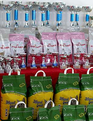 �������� ����� '���-�����-������' 11-12 ������ 2015 169A3730 copy.jpg